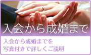 入会から成婚まで